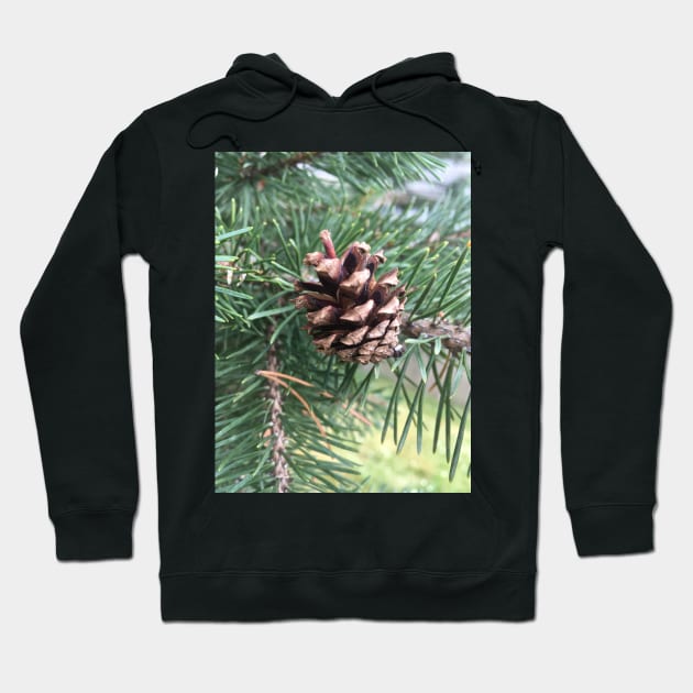 Pine Cone Hoodie by Amanda1775